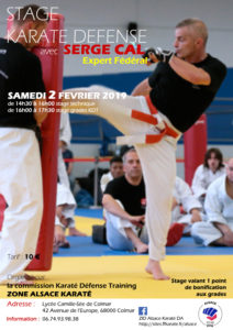 Stage de Karaté Défense Training @ Lycée Camille Sée | Colmar | Grand Est | France