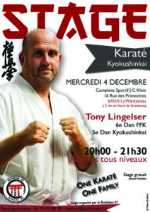 Stage Karaté kyokushinkai avec Tony Lingelser 6e Dan @ Complexe Sportif J-C Klein | La Wantzenau | Grand Est | France