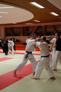 Stage Héritage Boucabeille