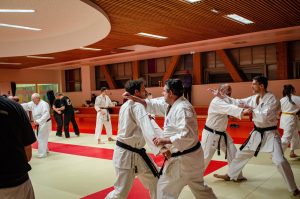 Stage Héritage Boucabeille