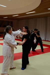 Stage Héritage Boucabeille