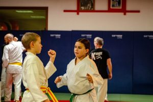 Stage Héritage Boucabeille