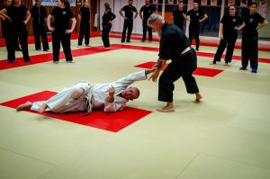 Doùinique Le Bihan 6e Dan