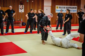 Doùinique Le Bihan 6e Dan