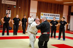 Doùinique Le Bihan 6e Dan