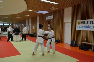 Stage Nihon Taï Jitsu à Geispolsheim